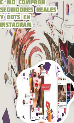 Meter seguidores en instagram gratis