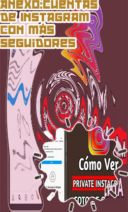 Ver seguidores cuenta privada instagram